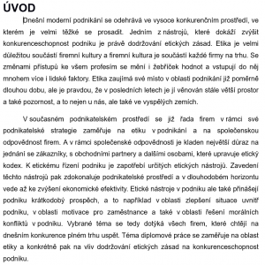 Bakalářské práce – úvod vzor 2