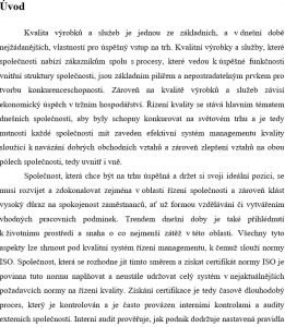 Bakalářské práce – úvod vzor 3